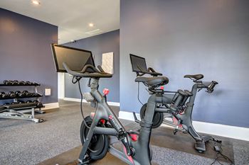 Well-equipped fitness center